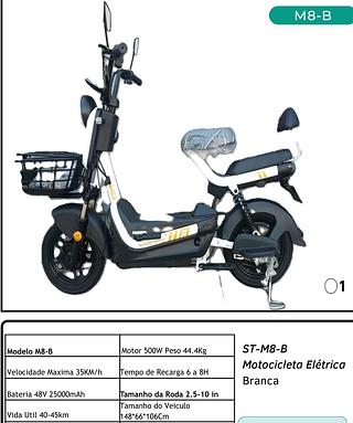 Motocicleta Elétrica
