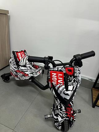 Triciclo Elétrico 300W